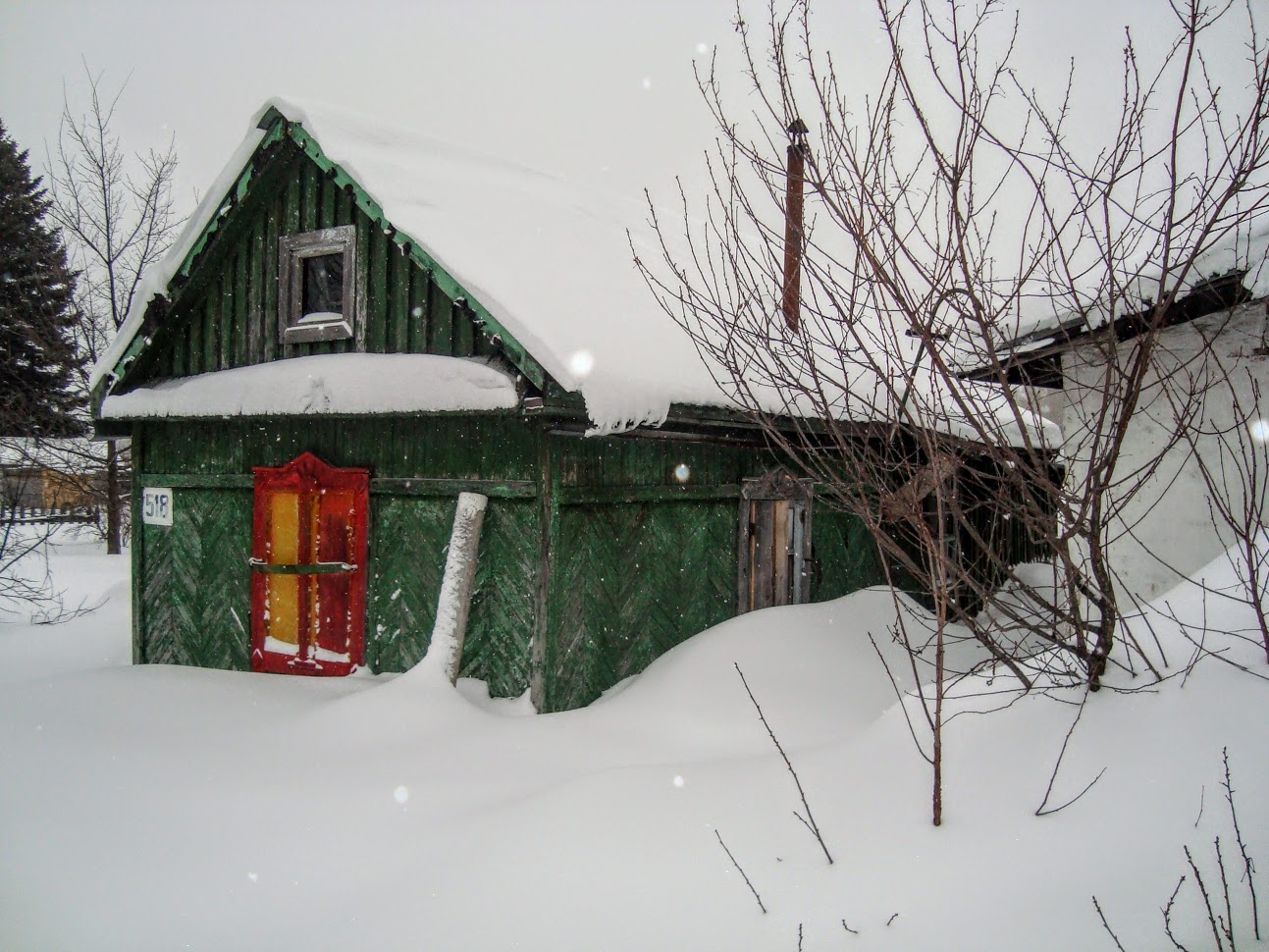 DSC06205