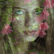 7.gif