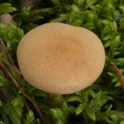P1130669