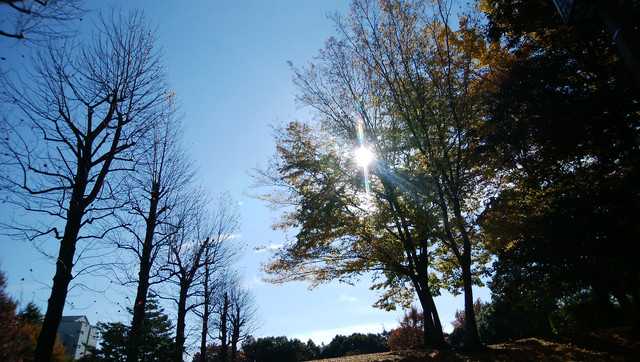 IMG-20221117-101011