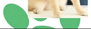 [Image: Blend.png]