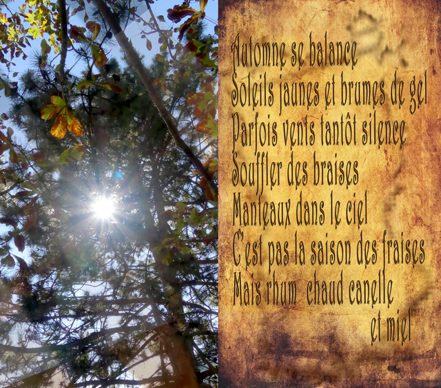 automnesebalance