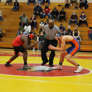 IMG-0333