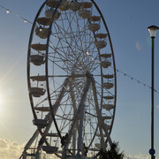 DSC 1038