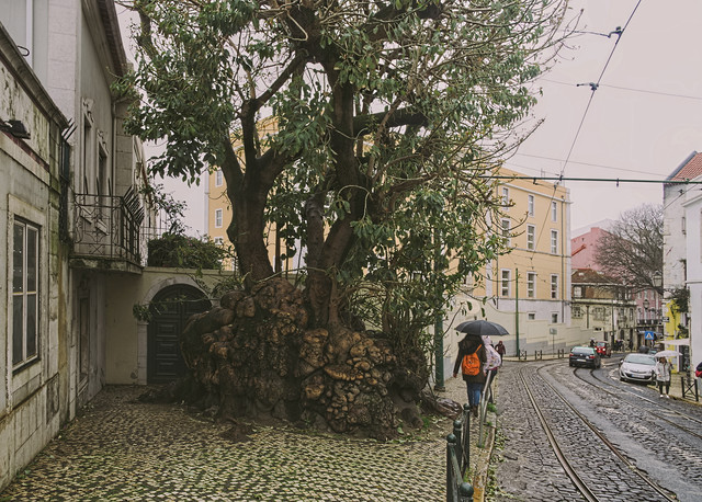 IMGP7576