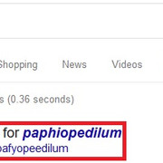 mispelling-example