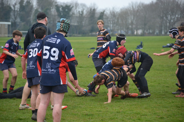 DSC 1270.jpg