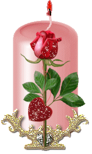 4.gif