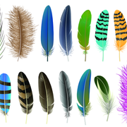shutterstock 1177181560
