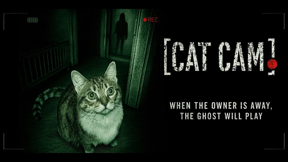Movie cover image