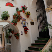 Marbella-38