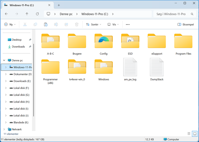 WIN 11 esd