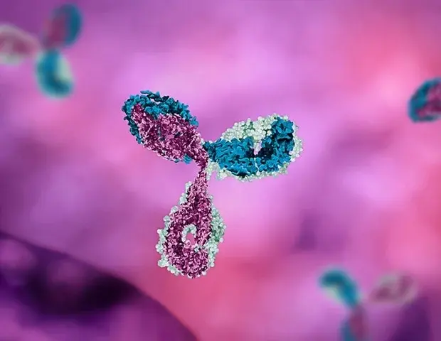 Breakthrough Discovery Offers Hope Against Deadly West Nile Virus
