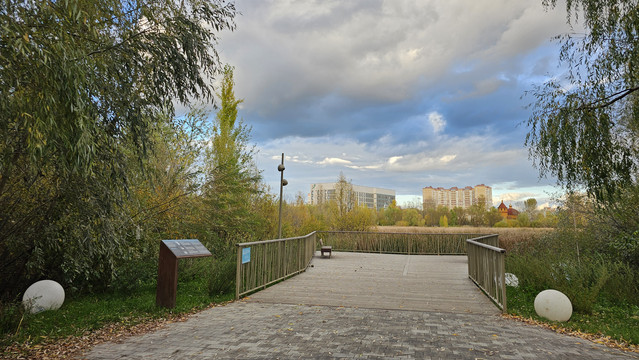 20261007-160408.jpg