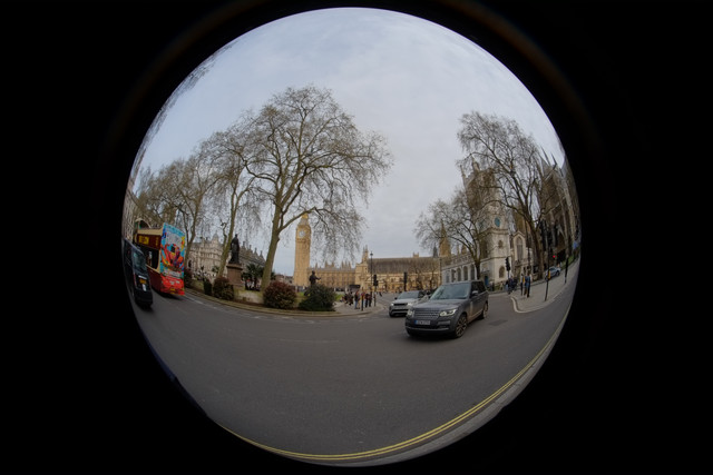 DSCF8846.jpg