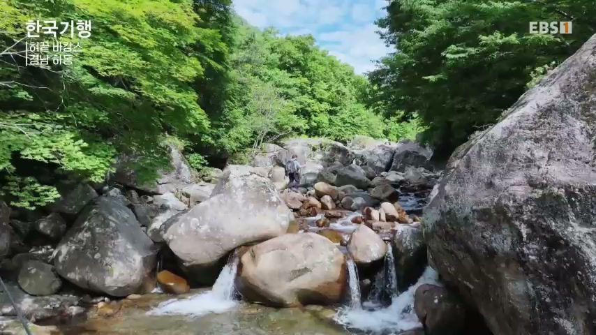 하동 녹차냉면 설명 이미지 5