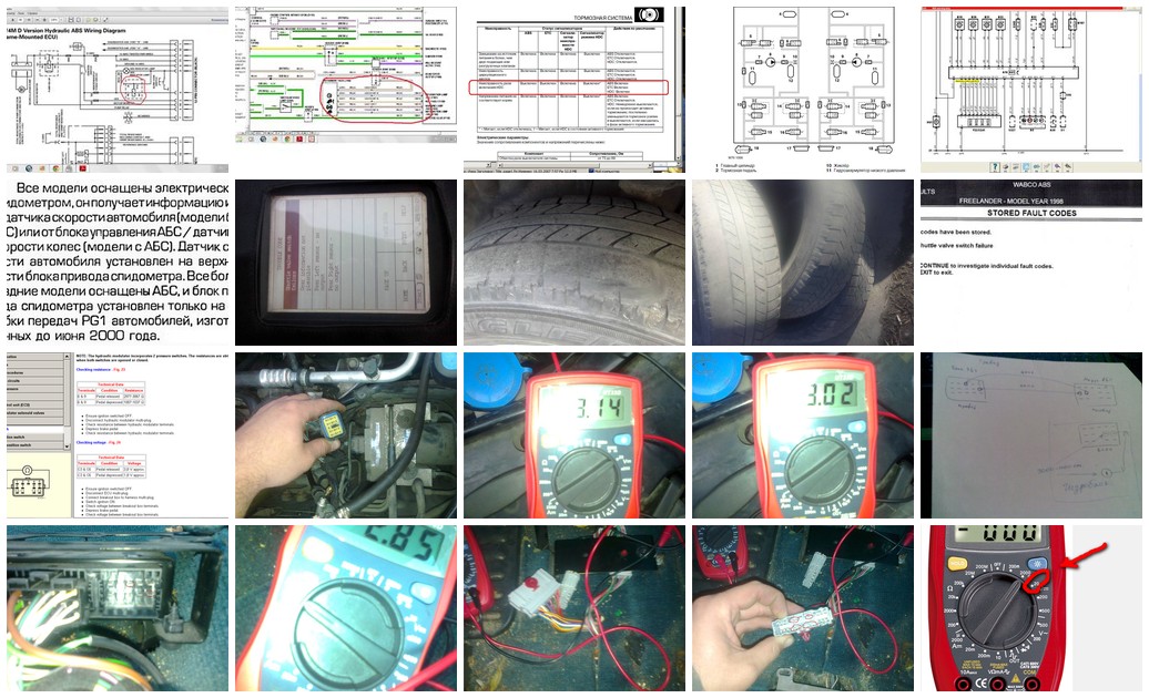 https://i.ibb.co/b5D2sGJW/4955-collage.jpg