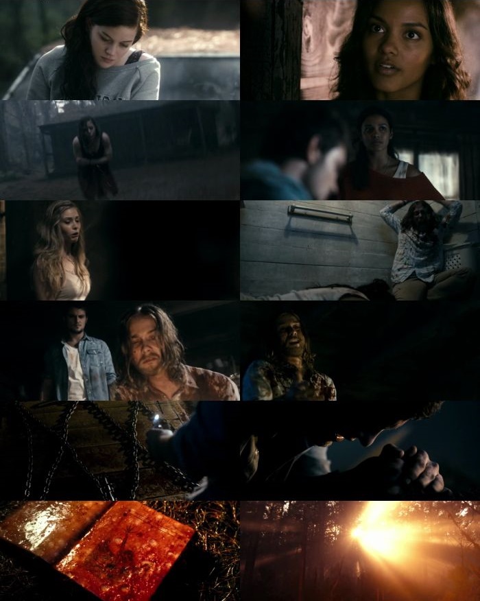 Evil Dead (2013) SS