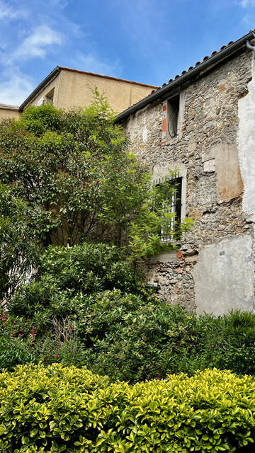 IMG 9385.jpg