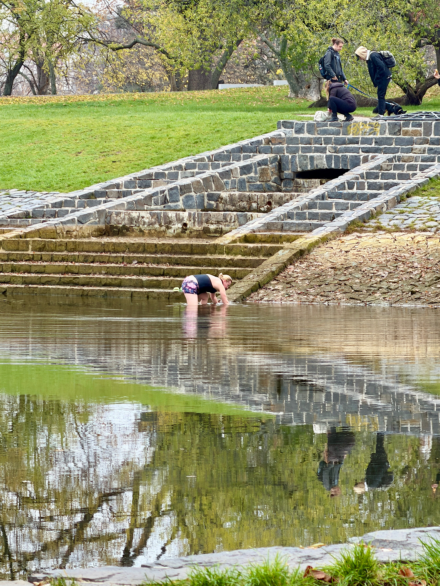 30+ лет в США. Заметки русско-американского пенсионера.