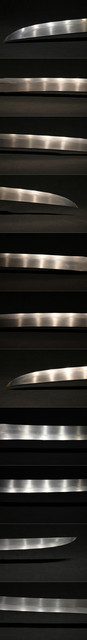 DSC4450
