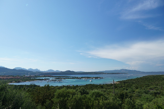 DSC08523.jpg