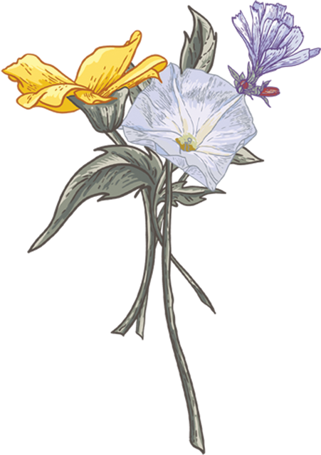 Layer 6 (1).png