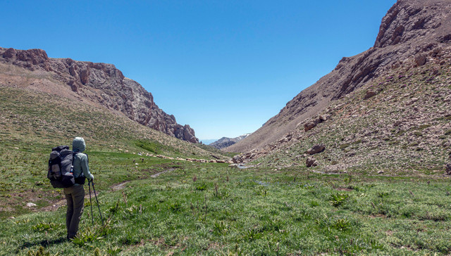 DSC00980 (2).jpg