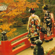 Momiji-5
