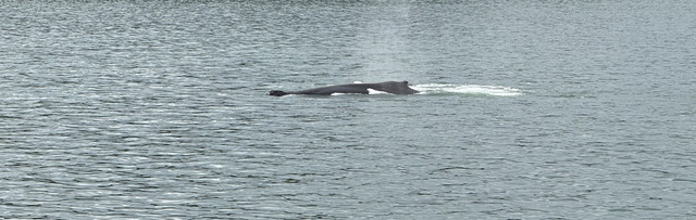 IMG 5853.jpg