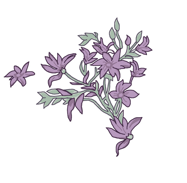 flower tracing 7.jpg