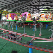 DSC00248
