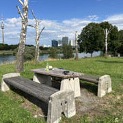 IMG-8702