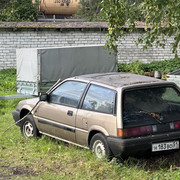 IMG 5988