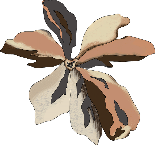 c392322d90d98134990ba7dfcbe65b35.png