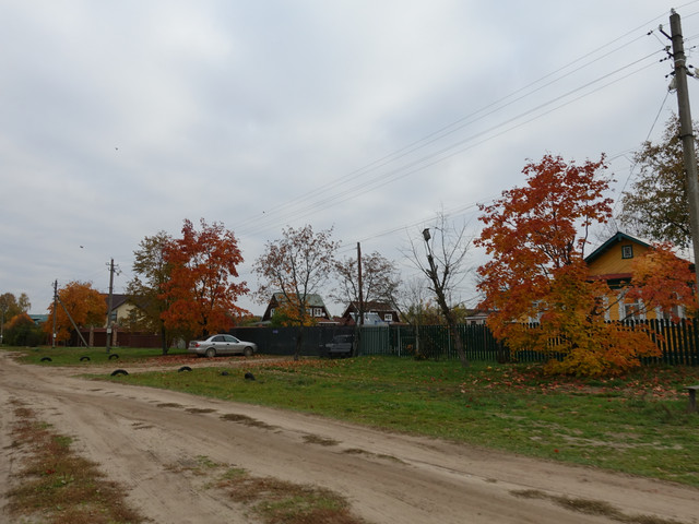 DSC01713.jpg