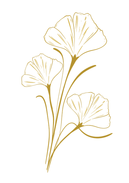 3cbfdf99b587767f19340fdbc01af3f6.png