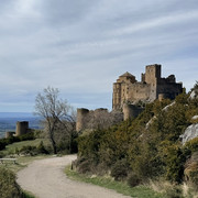 IMG 0365