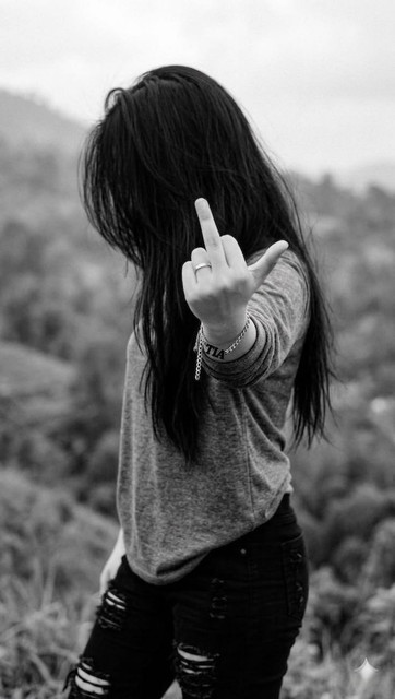 download (17).jpg