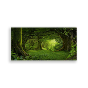 703988-Floresta-Ana