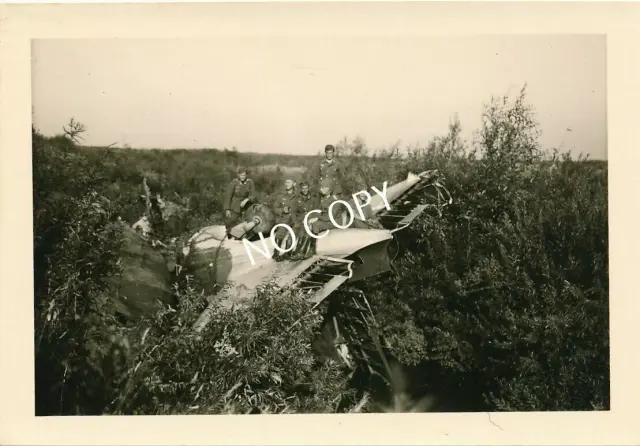s-l1600