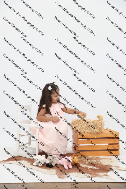 IMG 0923