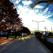 DSCN5068