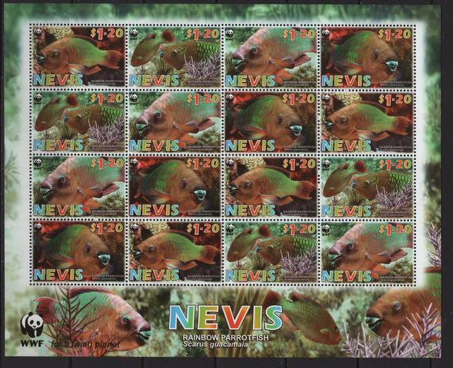 613