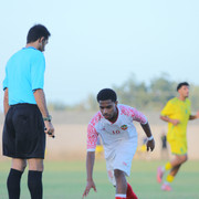IMG-9541