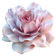 4fb31bc5e8c78b6ec2e6f55b10f75ab1
