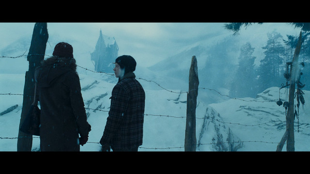 harry1.jpg