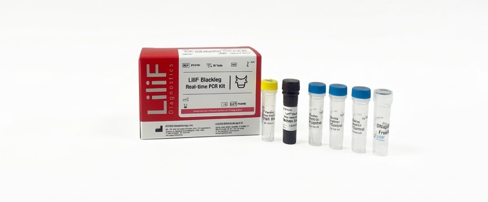 Blackleg Kit
