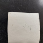 23 (2)