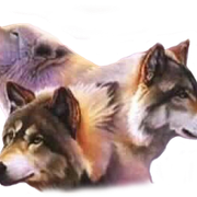 0gsjh886